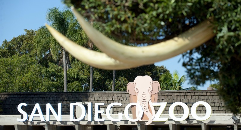 san-diego-zoo-and-safari-park-2